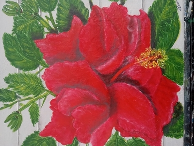 Hibiscus Flower